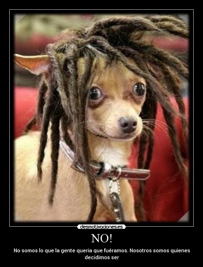 carteles  desmotivaciones