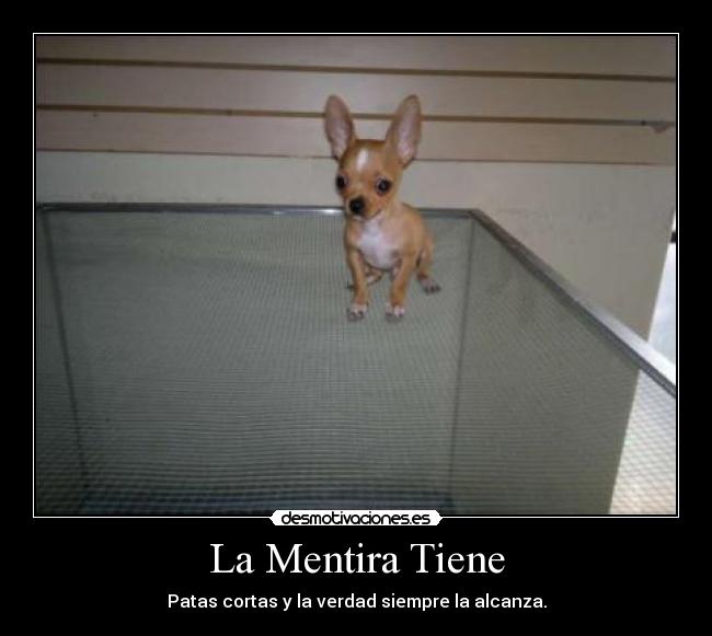 La Mentira Tiene - Patas cortas y la verdad siempre la alcanza.