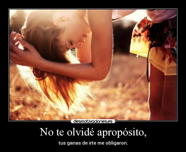 No te olvidé apropósito, - 