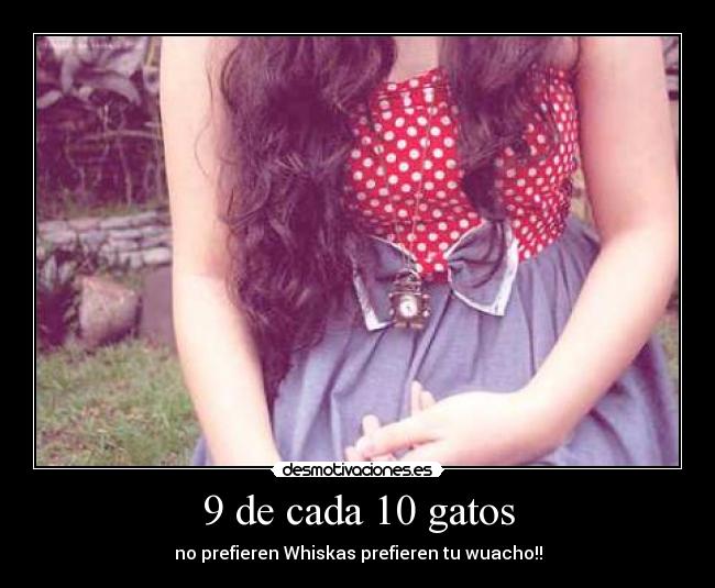 9 de cada 10 gatos - no prefieren Whiskas prefieren tu wuacho!!