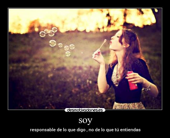 soy - responsable de lo que digo , no de lo que tú entiendas