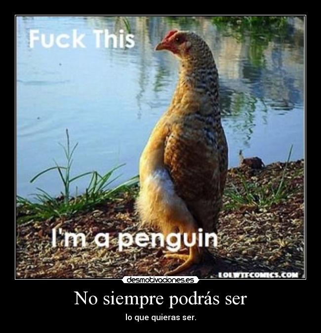 No siempre podrás ser - 