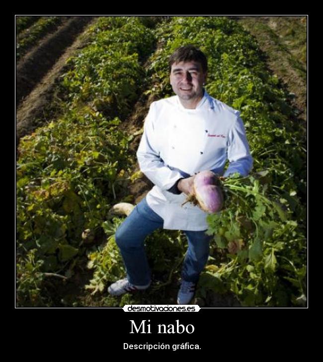 Mi nabo - Descripción gráfica.