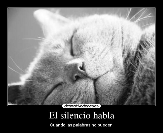 El silencio habla - 