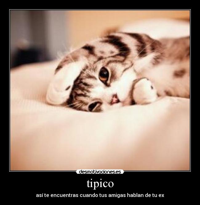 carteles tipico desmotivaciones