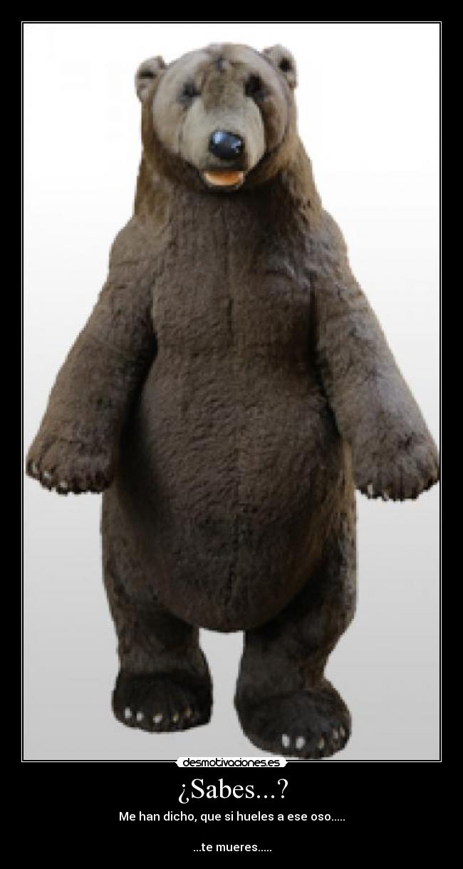 ¿Sabes...? - Me han dicho, que si hueles a ese oso.....
...te mueres.....