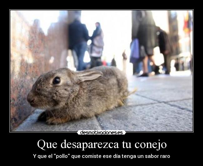 Que desaparezca tu conejo - Y que el pollo que comiste ese día tenga un sabor raro