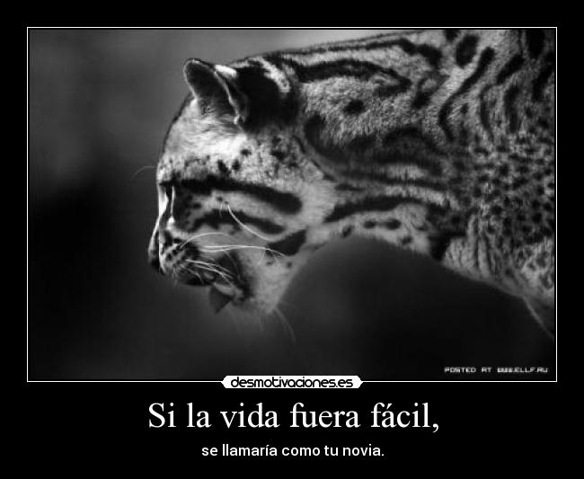 Si la vida fuera fácil, -