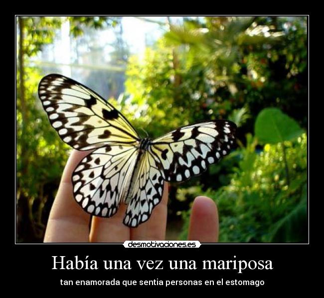 Había una vez una mariposa - 