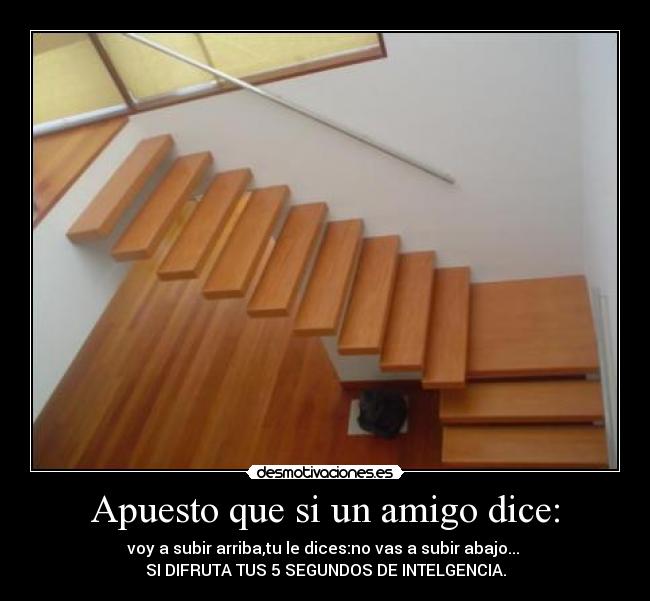 Apuesto que si un amigo dice: - 