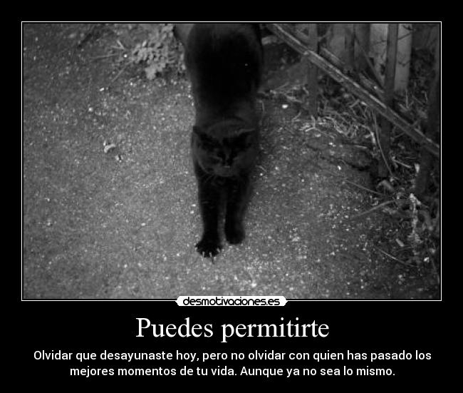 Puedes permitirte - Olvidar que desayunaste hoy, pero no olvidar con quien has pasado los
mejores momentos de tu vida. Aunque ya no sea lo mismo.
