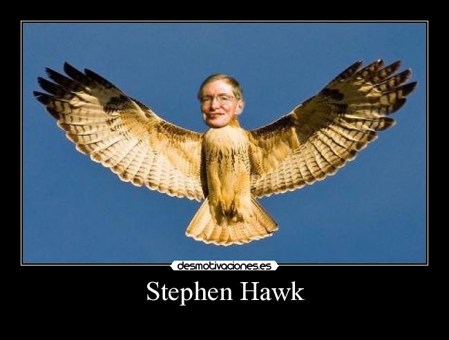 Stephen Hawk -