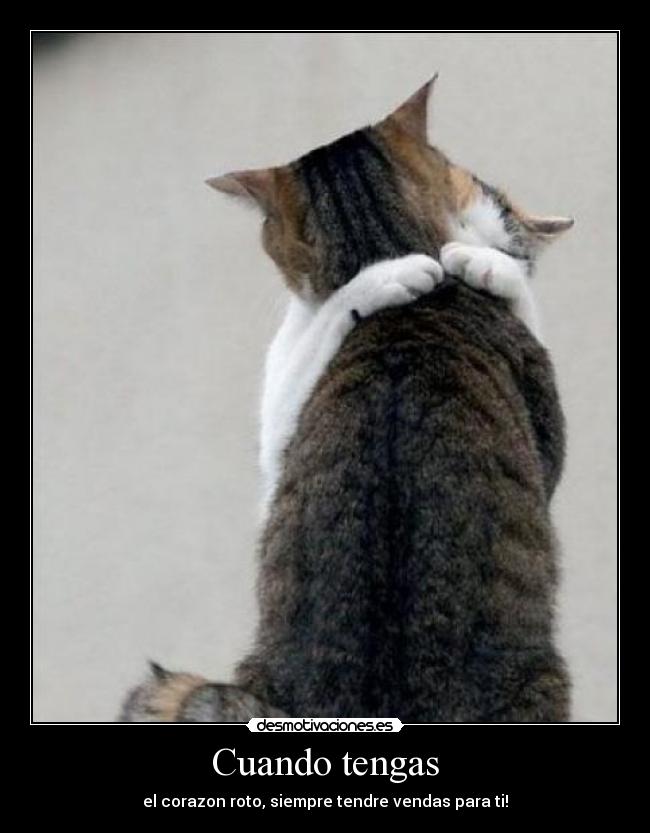 Cuando tengas - el corazon roto, siempre tendre vendas para ti!