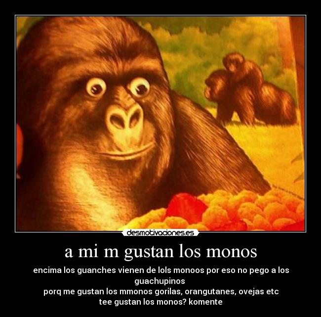 carteles clanclon hola wyatt que estoy haciendo con vida desmotivaciones