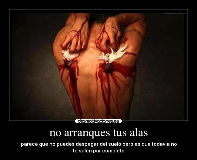 no arranques tus alas -