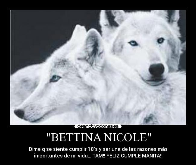 carteles bettina nicole desmotivaciones