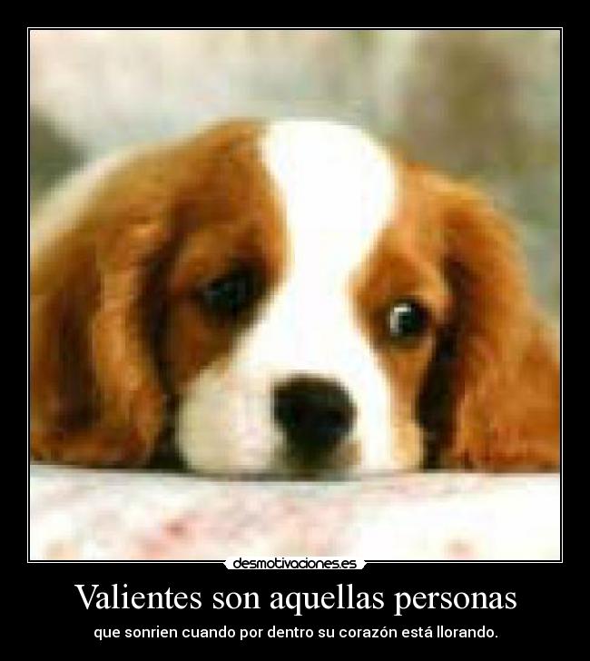 Valientes son aquellas personas - que sonrien cuando por dentro su corazón está llorando.