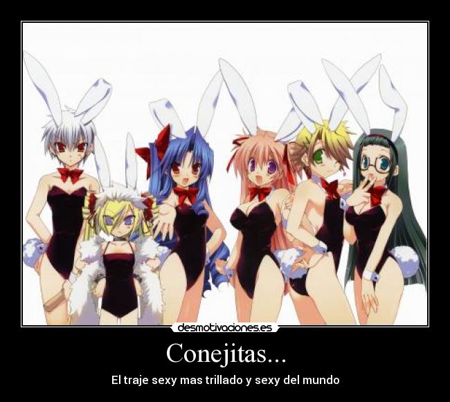 Conejitas... - El traje sexy mas trillado y sexy del mundo