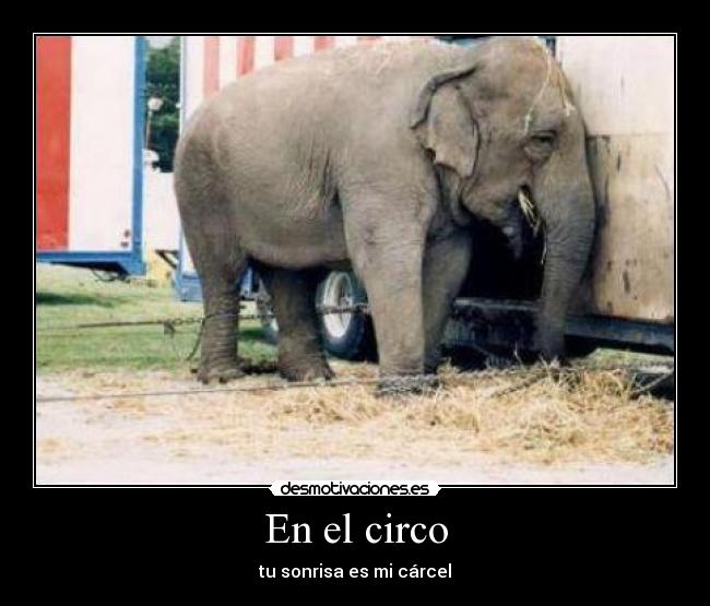 En el circo - 