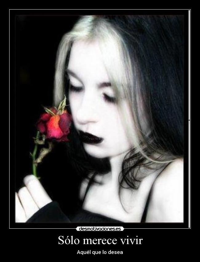 carteles neon genesis evangelion justo que empece ver ese anime quitaron animax desmotivaciones