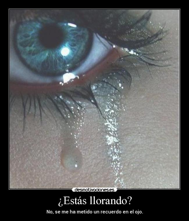 ¿Estás llorando? -