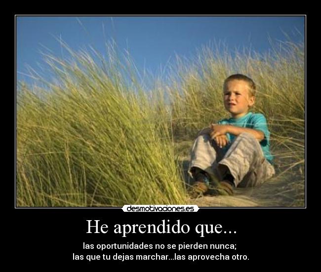 He aprendido que... - las oportunidades no se pierden nunca;
las que tu dejas marchar...las aprovecha otro.