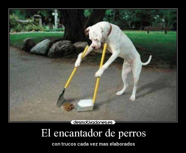 El encantador de perros - con trucos cada vez mas elaborados