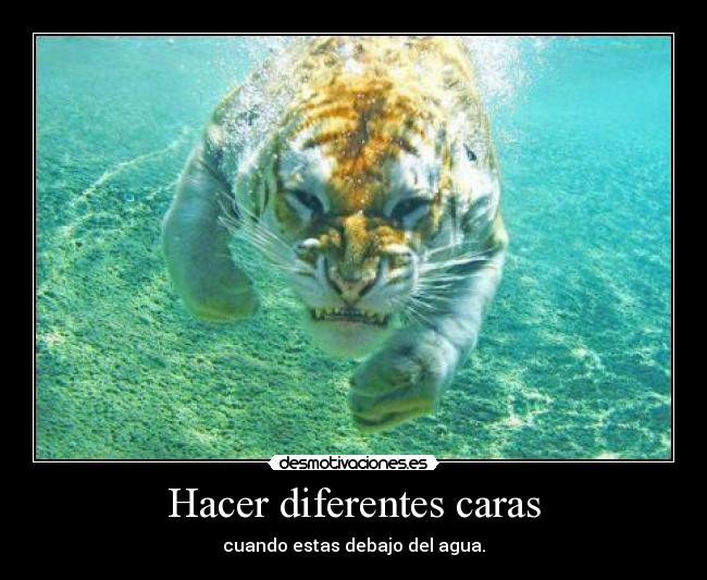 carteles verdad desmotivaciones