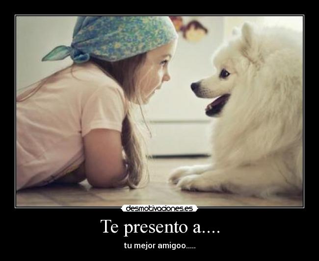 Te presento a.... - 