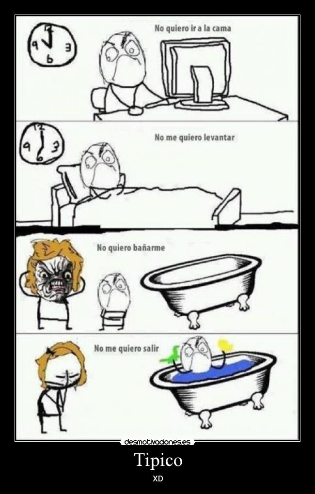 Tipico - XD