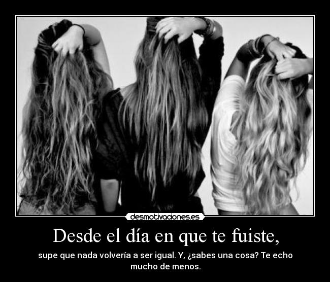 Desde el día en que te fuiste, - supe que nada volvería a ser igual. Y, ¿sabes una cosa? Te echo mucho de menos.