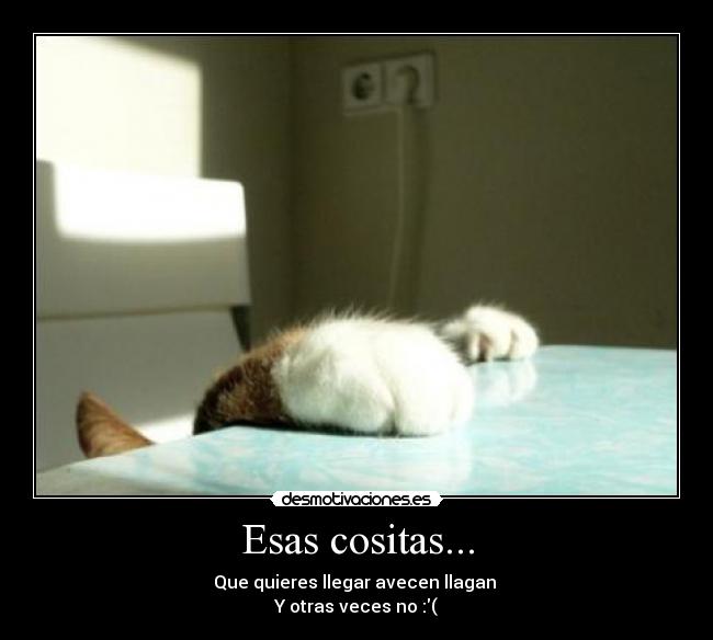 Esas cositas... - 