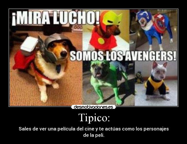 Tipico: -