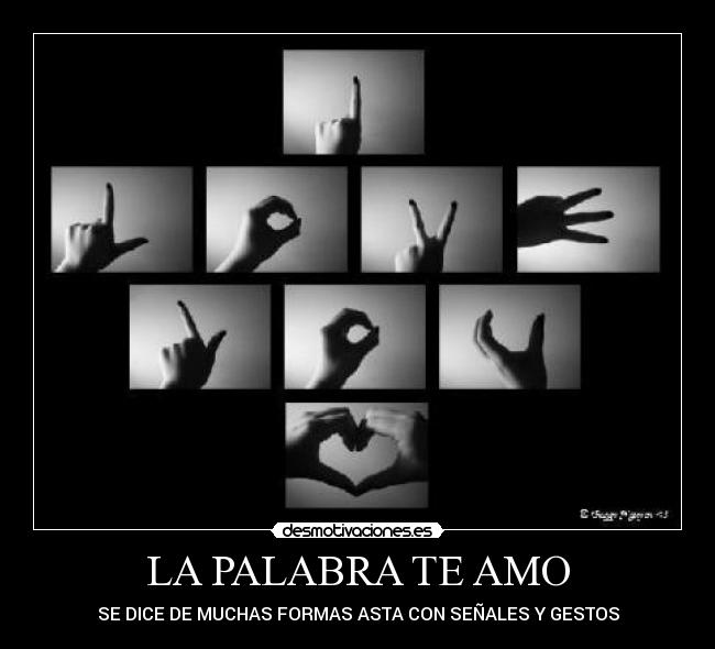 LA PALABRA TE AMO - 