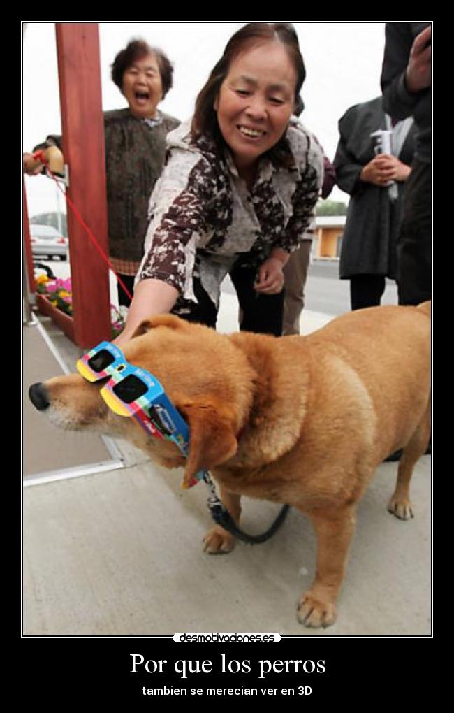 Por que los perros - 