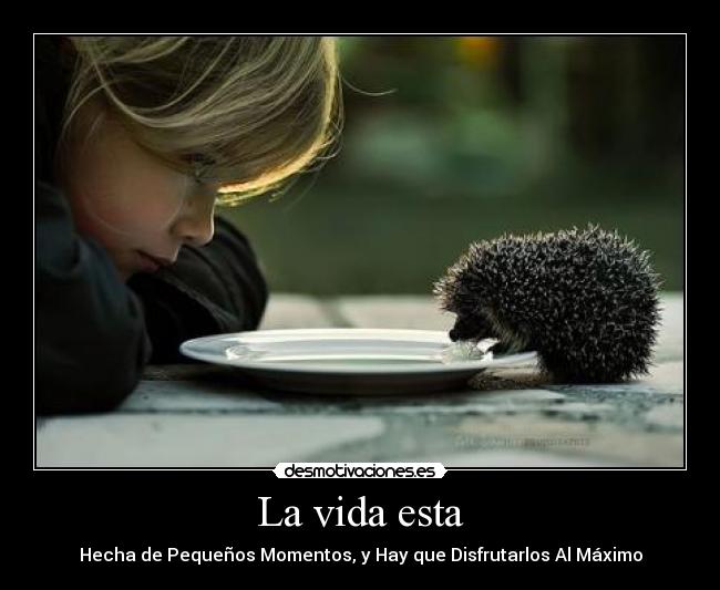 carteles vida cualquier momento posible desmotivaciones