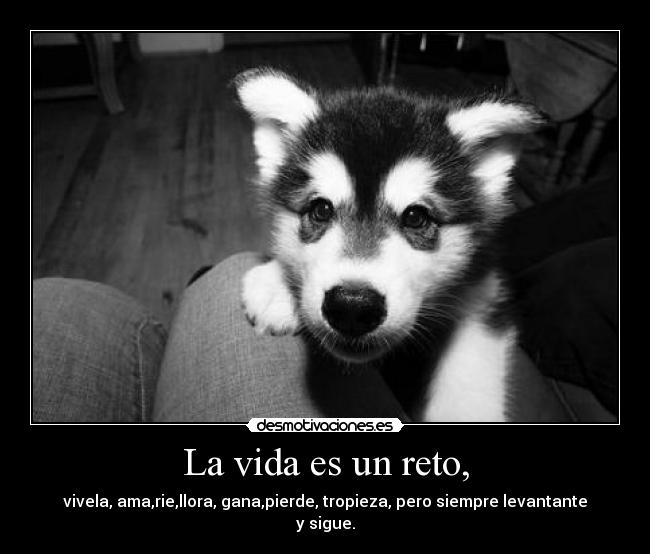 La vida es un reto, - 