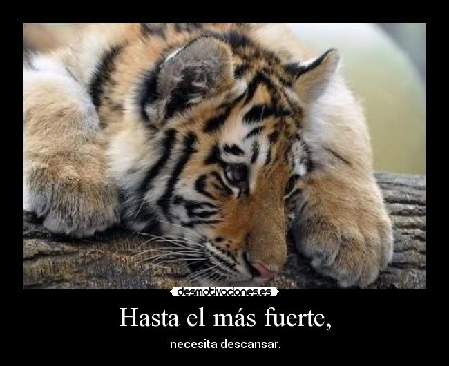 Hasta el más fuerte, - necesita descansar.