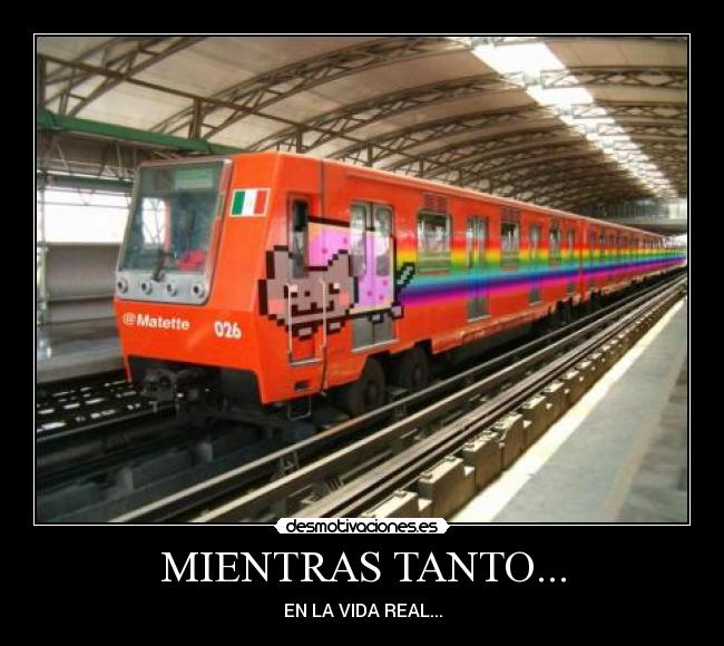 MIENTRAS TANTO... - EN LA VIDA REAL...