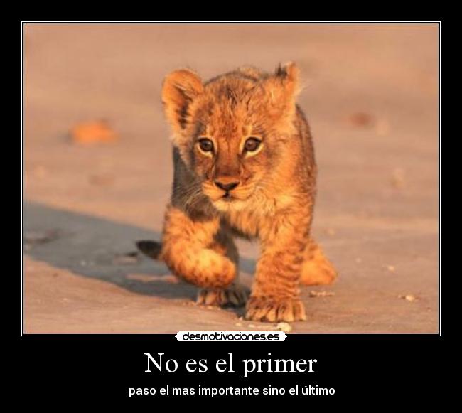 No es el primer - paso el mas importante sino el último