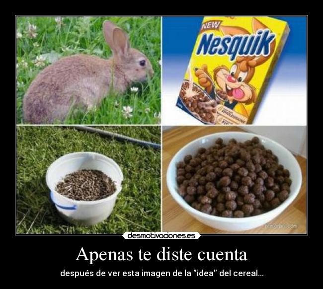 Apenas te diste cuenta -