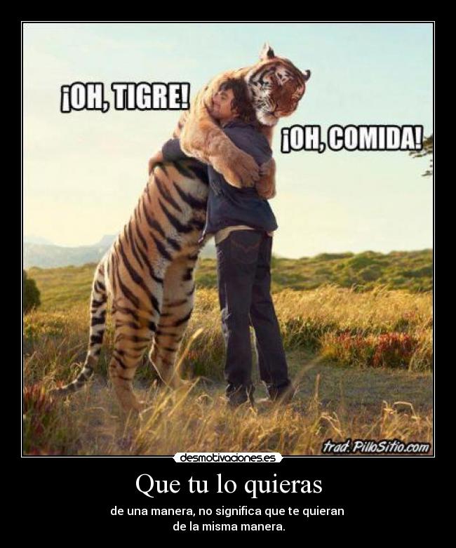 carteles querer desmotivaciones