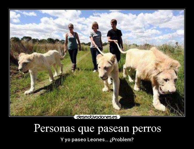 Personas que pasean perros -