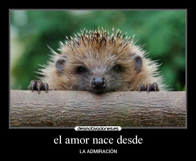 carteles amor vilandrita desmotivaciones