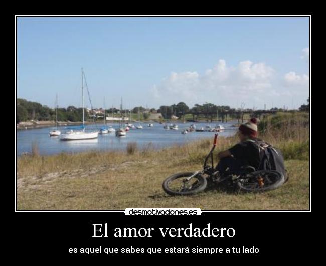 carteles amor amor desmotivaciones