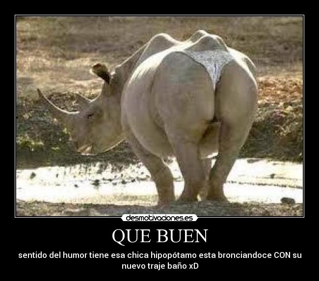 QUE BUEN - sentido del humor tiene esa chica hipopótamo esta bronciandoce CON su
nuevo traje baño xD