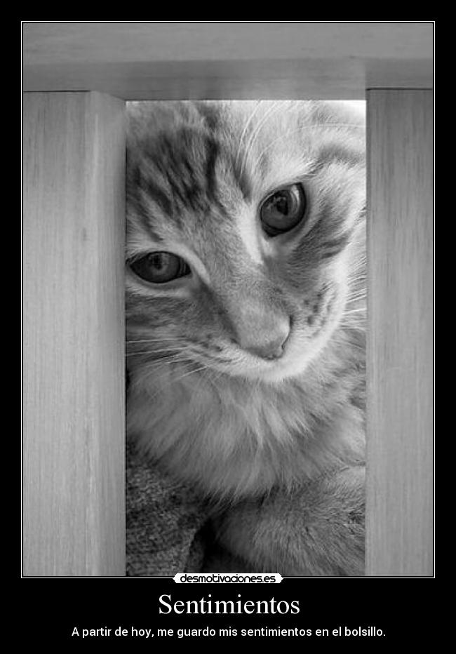 Sentimientos - A partir de hoy, me guardo mis sentimientos en el bolsillo.