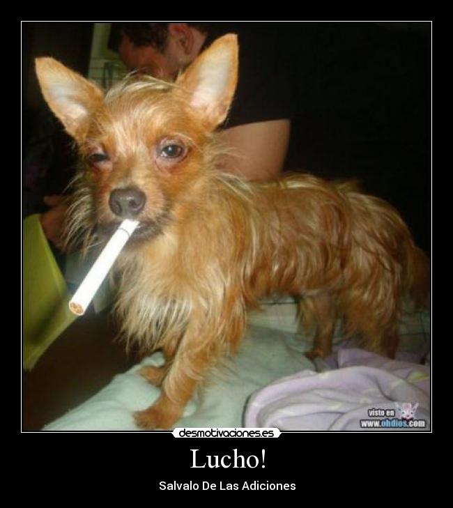 Lucho! - Salvalo De Las Adiciones
