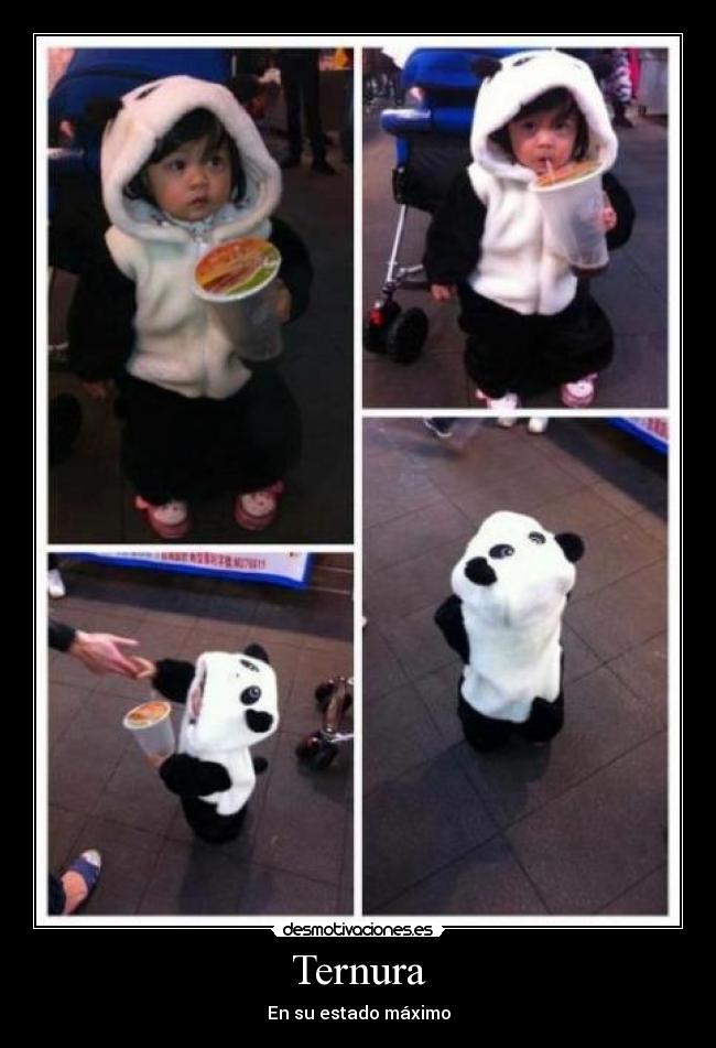 Ternura - En su estado máximo