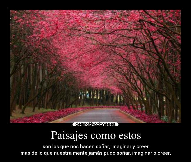 carteles nadie desmotivaciones